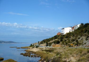 Randonnée A pied  - Šibuljina - Malo Rujno - Photo