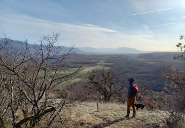 Tocht Stappen Varacieux - Le Molard d'Essemat- Varacieux - Photo