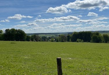 Tocht Stappen Libramont-Chevigny - Bras-Bas Carrière  - Photo