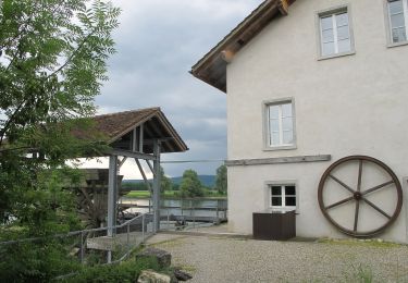 Trail On foot Bad Zurzach - Barz Fähre - Koblenzer Laufen - Photo