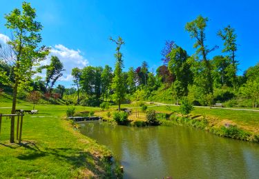 Randonnée Marche Beauraing -  Balade dans le Parc du Castel à Beauraing - Photo