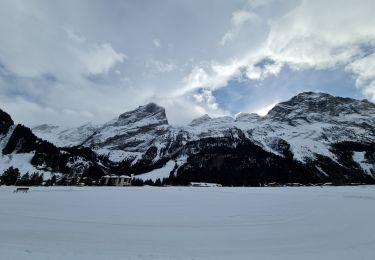 Tocht Sneeuwschoenen Pralognan-la-Vanoise - Pralognan La Croix en boucle  - Photo