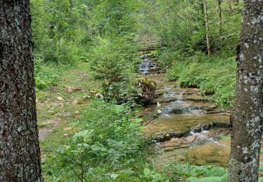 Randonnée Marche Bellefontaine - Pichonnier-Peraillet- village par l'Évalude - Photo