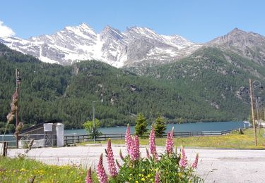 Randonnée A pied Ceresole Reale - (SI E35) Ceresole Reale (Bregi) - Noasca - Photo