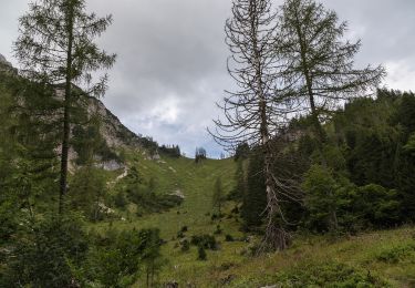 Excursión A pie Rosenau am Hengstpaß - Wanderweg 39 - Photo