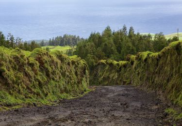 Randonnée A pied Santo António - PR4SMI Mata do Canário - Sete Cidades - Photo