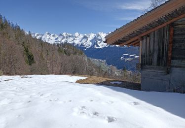 Percorso Racchette da neve Le Grand-Bornand - la tannaz - Photo