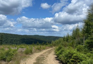Trail Walking Saint-Hubert - Mirwart bivouac  - Photo