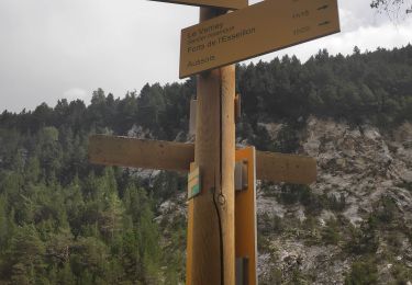 Tour Wandern Val-Cenis - Bramans/fort de l'Esseillon - Photo