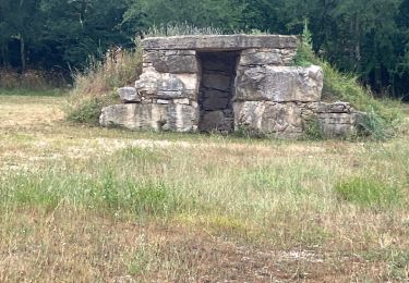 Trail Walking Lugagnac - Lugagnac - Photo