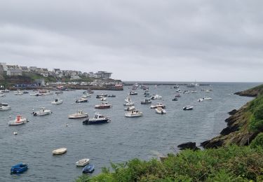 Trail Walking Le Conquet - Phare de Kermorvan - Photo