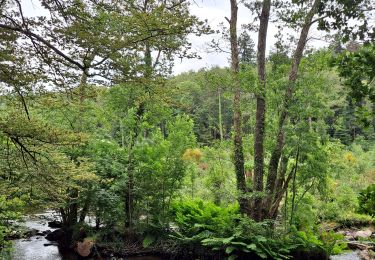 Tour Wandern Pont-Aven - Moulins de l'Aven - Photo