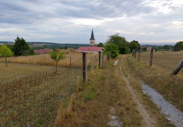 Tour Wandern Saulny - lorry - Photo