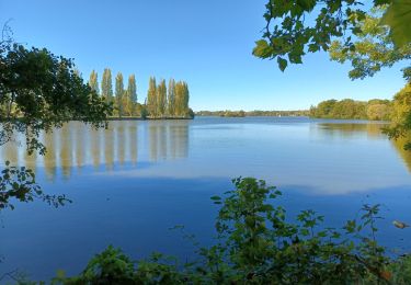 Excursión Senderismo Mézières-en-Drouais - rando du 9 /10/22 - Photo