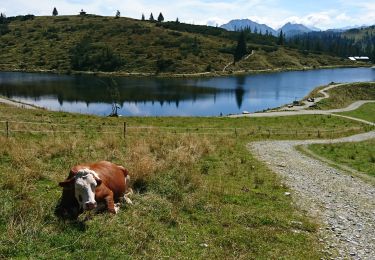 Tour Wandern Gemeinde Westendorf - Autriche 23.08.22 - Photo