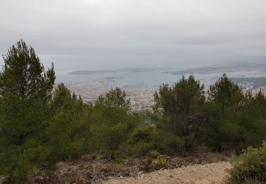 Tour Wandern Toulon - les mémères de chagny  - Photo