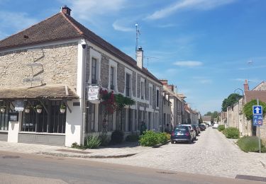 Percorso Marcia Saint-Fargeau-Ponthierry - Ppnthierry-barbizon-Bois le Roi - Photo