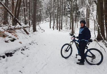 Percorso Mountainbike Seyssins - Seyssins - Poussebou en vttae dans la neige - Photo