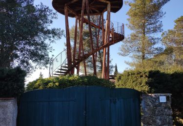 Trail Walking Fréjus - z tdm 25-01-19 - Photo