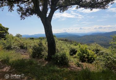 Tocht Stappen Saint-Sébastien-d'Aigrefeuille - la vigne  - Photo