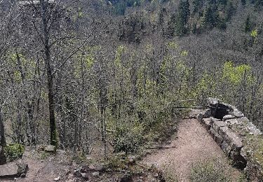 Randonnée Marche Oberhaslach - Cascades et Chateaux ruinés du Nideck - Photo