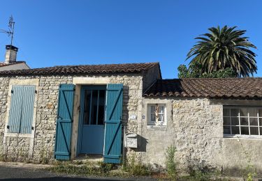 Trail sport Le Grand-Village-Plage - Oleron decrassage - Photo