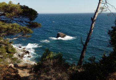 Tour Wandern La Seyne-sur-Mer - fabregas le Brusc - Photo