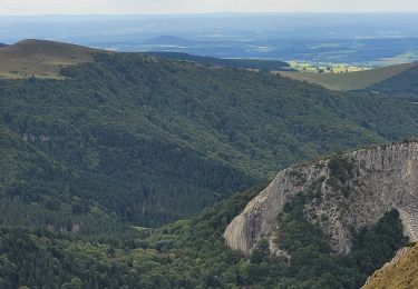 Tocht Stappen Orcival - Serviere_Aiguiller_T - Photo