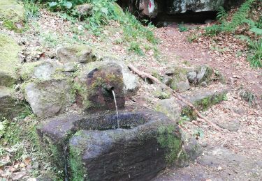 Randonnée Marche Saint-Nabor -  fontaine Sainte lucie - Photo