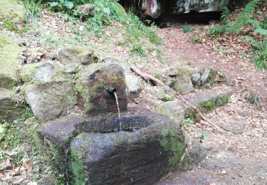 Trail Walking Saint-Nabor -  fontaine Sainte lucie - Photo