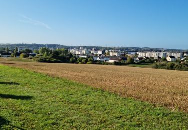 Trail Walking Saint-Ouen - Saint-Ouen - Circuit découverte 2 - Photo