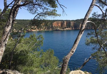 Trail sport Saint-Cyr-sur-Mer - Sentier du littoral et des vigne - Photo