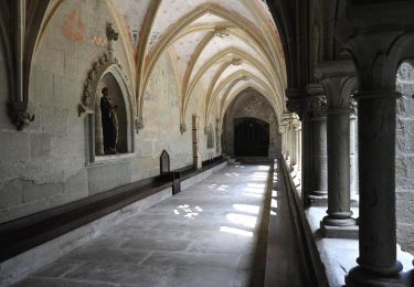 Excursión A pie Hauterive (FR) - Grangeneuve - La Tuffière - Photo