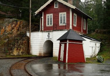 Percorso A piedi  - Barlindalsrunden - Photo