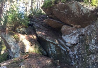 Tocht Stappen Gedinne - Fange de l'Abime - Photo