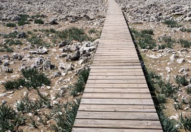 Percorso Marcia Almuñécar - Loja - Passerelle mirador de Karts - Ruta de Cabras - Photo