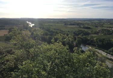 Randonnée Marche Anduze - Anduze ruines de Pouillan - Photo