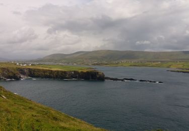 Tocht Te voet Kenmare Municipal District - Bray Head Loop - Photo