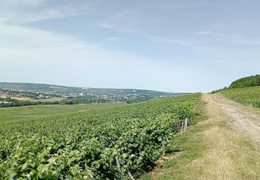 Tour Mountainbike Château-Thierry - Sortie du 17/07/2022 - Photo