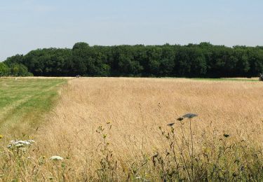 Trail On foot Eching - Heidepfad - Gesamtweg - Photo