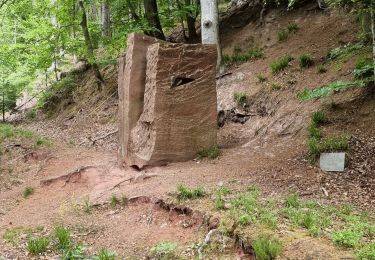 Tocht Stappen Oberhaslach - Bruche Walter - Photo