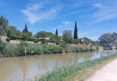 Excursión Senderismo Bize-Minervois - CC_Piemont_AC_03_Bize-Minervois_Homps_20240613 - Photo