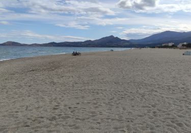 Tour Wandern Argelès-sur-Mer - ARGELES - Photo