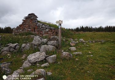 Randonnée Marche Laveissière - Burons  - Photo