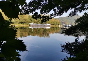 Excursión Bici de montaña Yvoir - GODINNE ... par les Sept Meuses et son point de vue sur la vallée mosane. - Photo