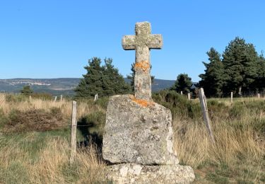 Tocht Stappen Rocles - Palhères - lac de Naussac - Bessettes - Photo