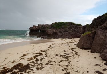 Randonnée Marche Le Marin - Grand Macabou - Boucle des Mornes - Photo