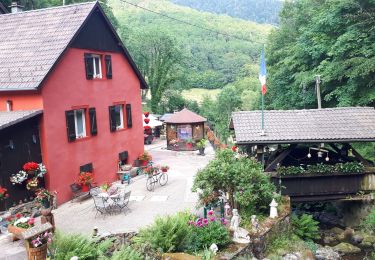 Trail Walking Linthal - Linthal boucle par col de lauchen - Photo