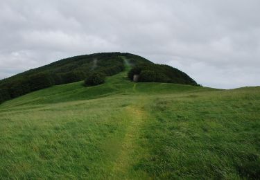 Tocht Te voet Pratovecchio Stia - Sul tetto dell’Appennino dove gli alberi toccano il cielo - Photo