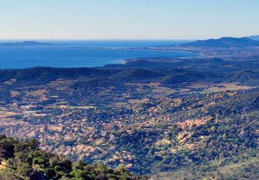 Trail Walking Bormes-les-Mimosas - Col du Gratteloup - Piste domaniale Sud - Cols de Labade et Landon - Pierre d'Avenon - GR51/90 - Photo